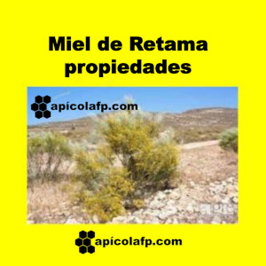 Miel de retama propiedades. Cómo se hace la miel de retama. Comprar miel de retama.