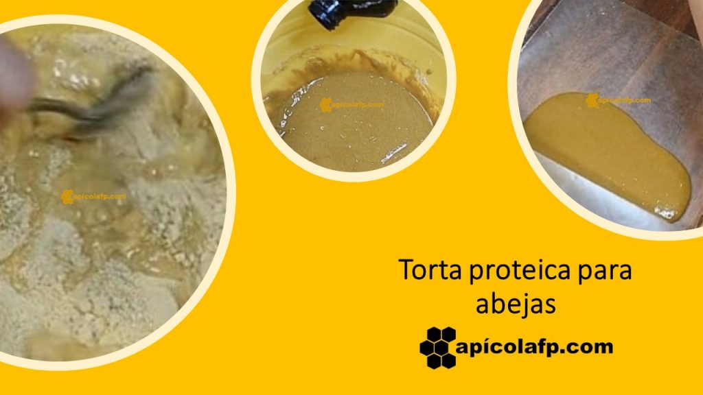 Cómo alimentar abejas. Receta para hacer torta o pasta de proteínas para abejas