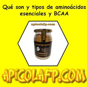 Tipos, qué son y cuáles son los aminoácidos esenciales y bcaa