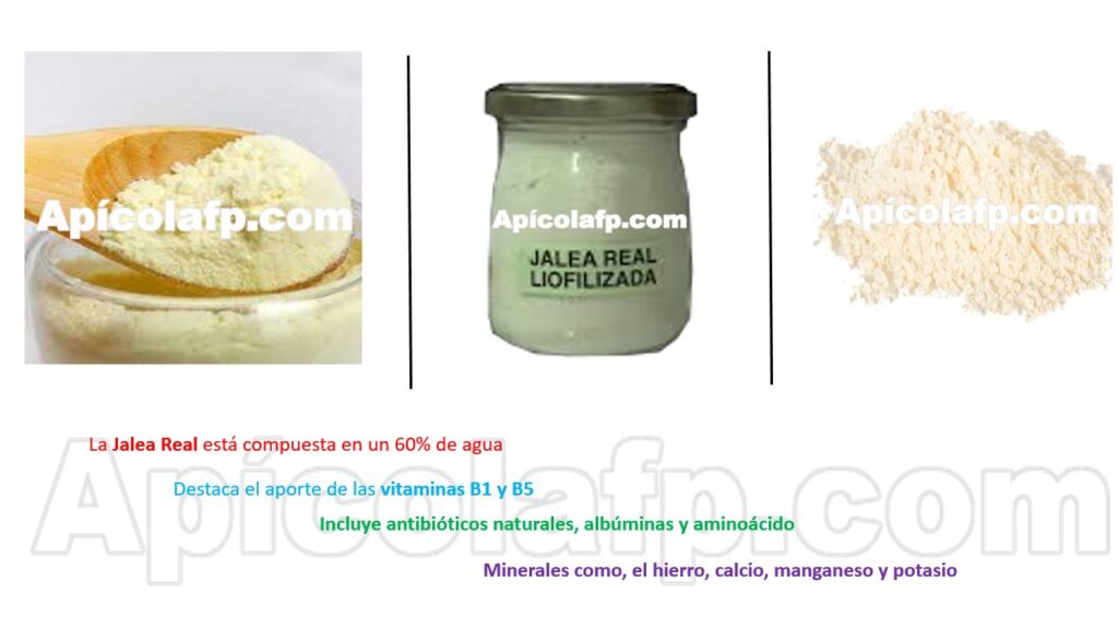 jalea real liofilizada beneficios
